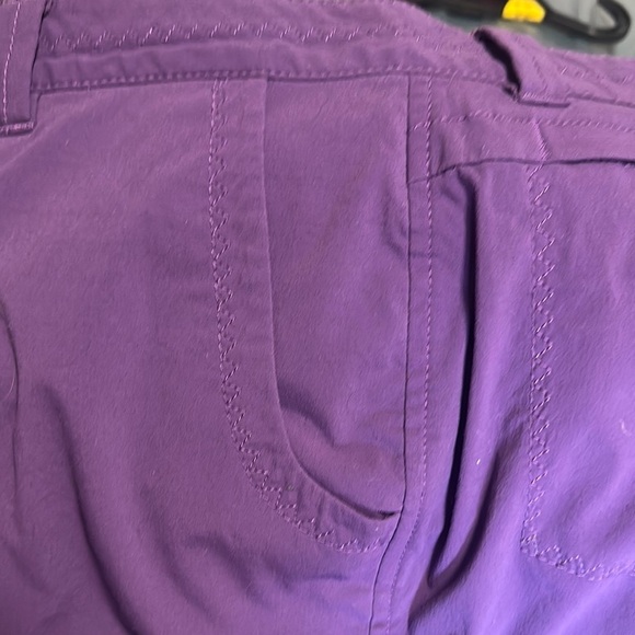 Eddie Bauer Purple Cargo Pants - Picture 3 of 16